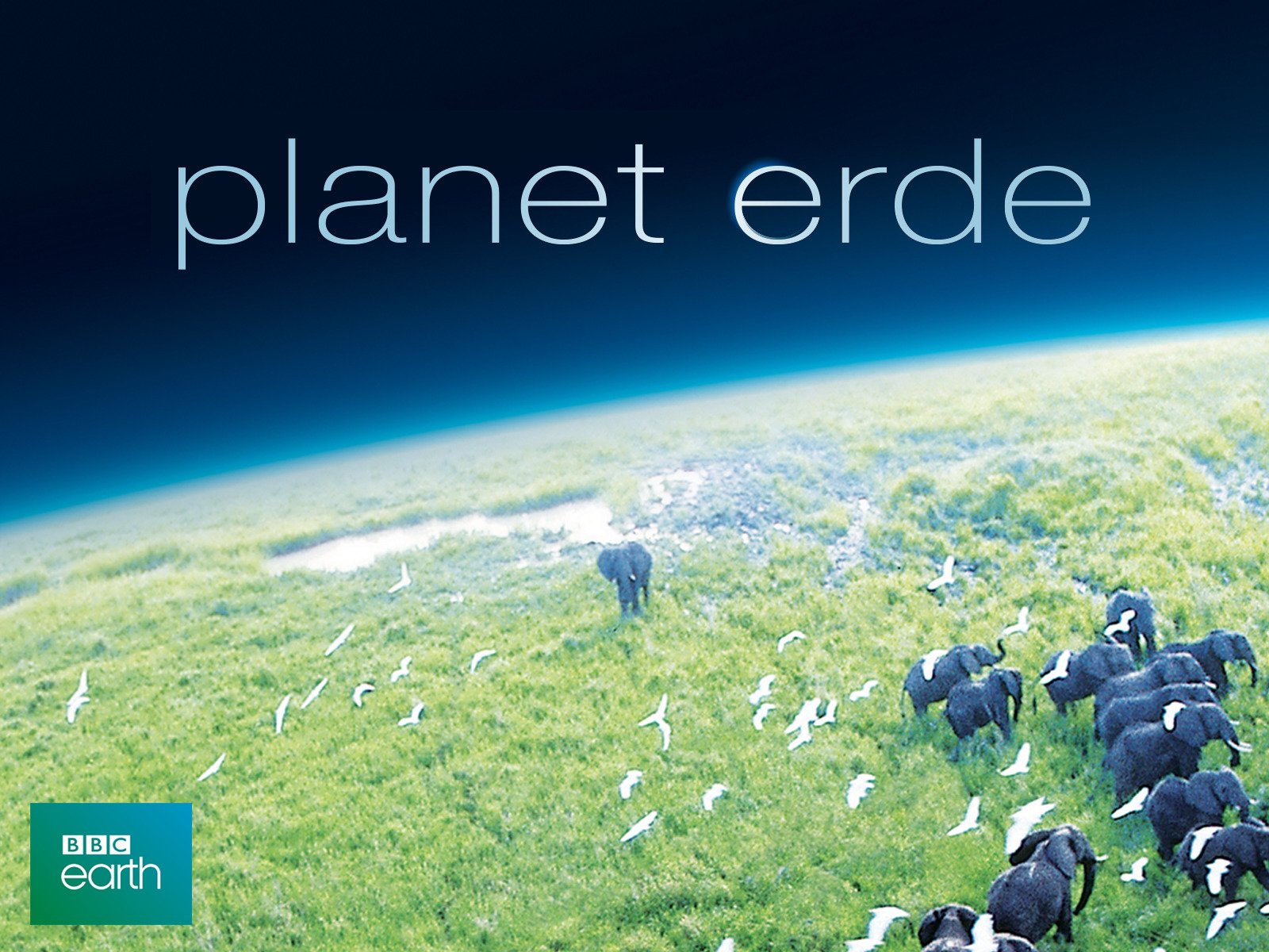 planet erde waldwelten